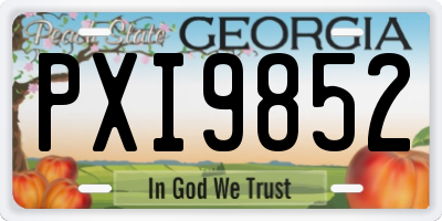 GA license plate PXI9852