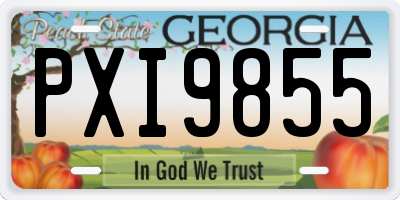 GA license plate PXI9855