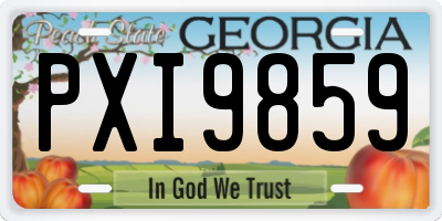 GA license plate PXI9859