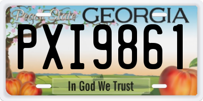 GA license plate PXI9861