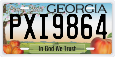 GA license plate PXI9864