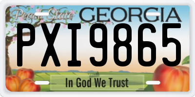 GA license plate PXI9865