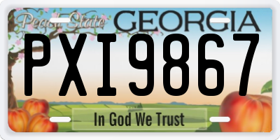 GA license plate PXI9867