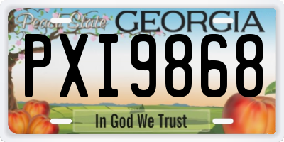 GA license plate PXI9868