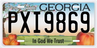 GA license plate PXI9869
