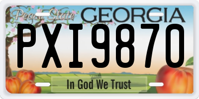 GA license plate PXI9870