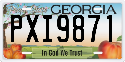 GA license plate PXI9871