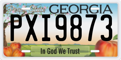 GA license plate PXI9873