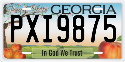 GA license plate PXI9875