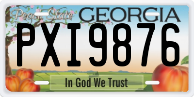 GA license plate PXI9876
