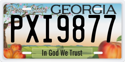 GA license plate PXI9877