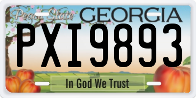 GA license plate PXI9893