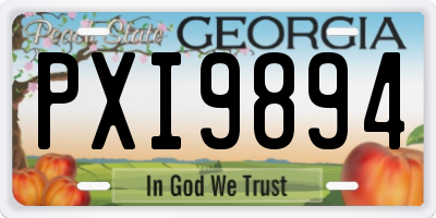 GA license plate PXI9894