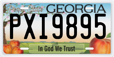 GA license plate PXI9895