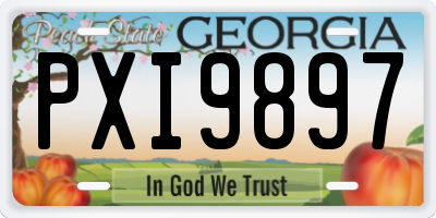 GA license plate PXI9897