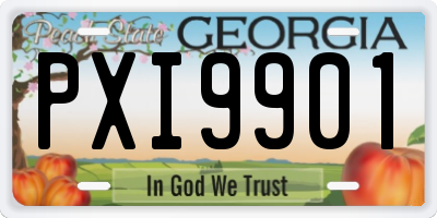GA license plate PXI9901