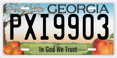 GA license plate PXI9903