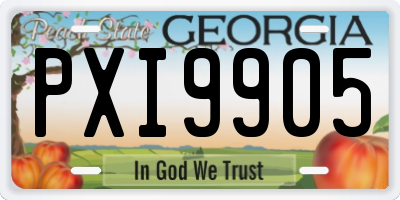GA license plate PXI9905