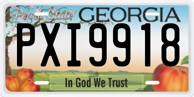 GA license plate PXI9918