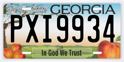 GA license plate PXI9934