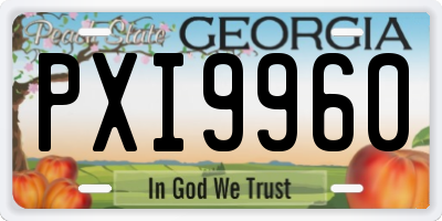 GA license plate PXI9960