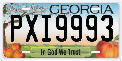 GA license plate PXI9993