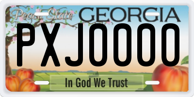 GA license plate PXJ0000