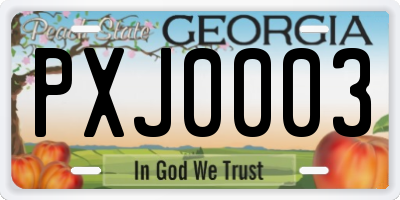 GA license plate PXJ0003