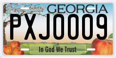 GA license plate PXJ0009