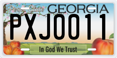 GA license plate PXJ0011