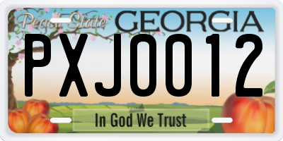 GA license plate PXJ0012