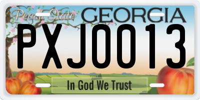GA license plate PXJ0013
