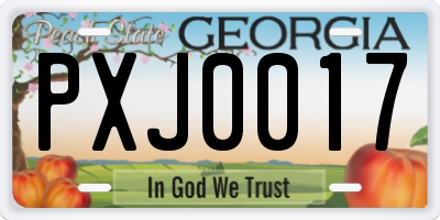 GA license plate PXJ0017
