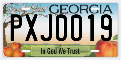 GA license plate PXJ0019