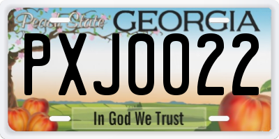 GA license plate PXJ0022