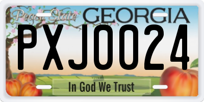 GA license plate PXJ0024