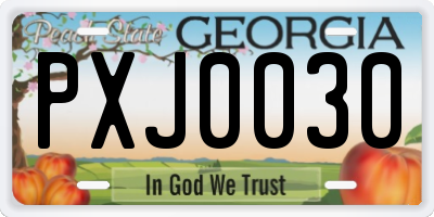 GA license plate PXJ0030