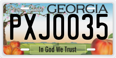 GA license plate PXJ0035