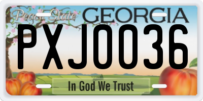 GA license plate PXJ0036