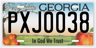 GA license plate PXJ0038
