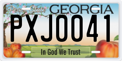 GA license plate PXJ0041