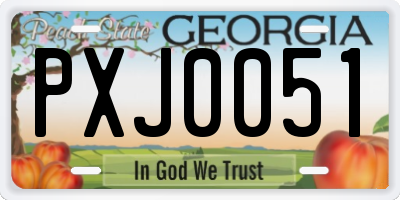 GA license plate PXJ0051