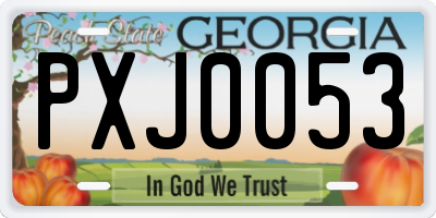 GA license plate PXJ0053