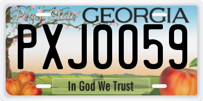 GA license plate PXJ0059