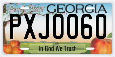 GA license plate PXJ0060