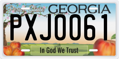 GA license plate PXJ0061