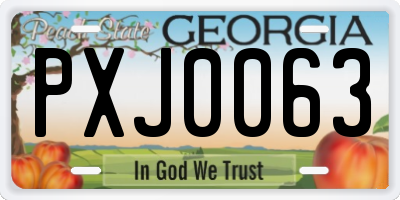 GA license plate PXJ0063