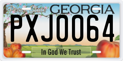 GA license plate PXJ0064