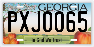 GA license plate PXJ0065