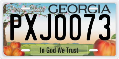 GA license plate PXJ0073